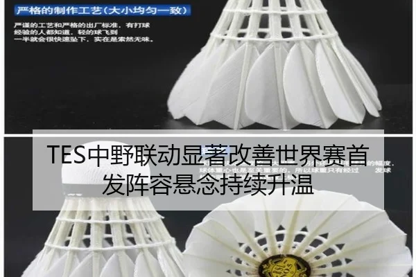 TES中野联动显著改善世界赛首发阵容悬念持续升温