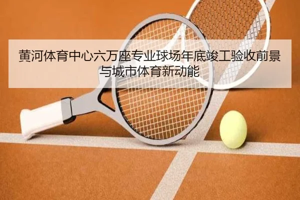 黄河体育中心六万座专业球场年底竣工验收前景与城市体育新动能